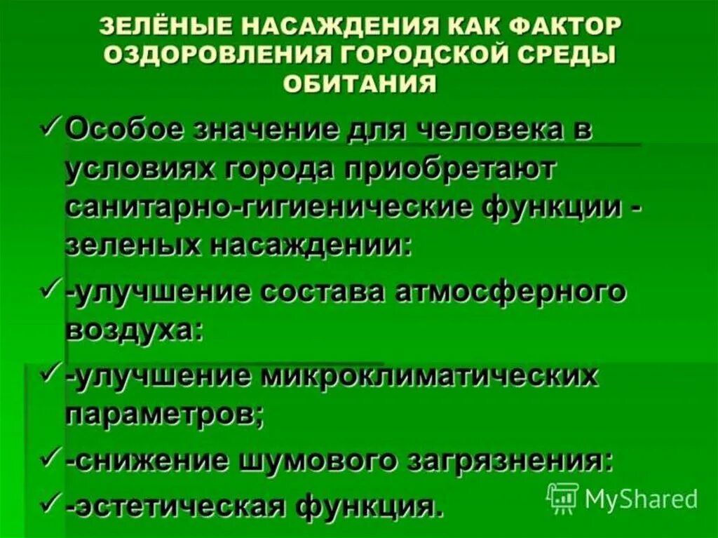 Санитарно-гигиенические функции зеленых насаждений. Роль зеленых насаждений в оздоровлении условий жизни. Влияние зеленых насаждений на городскую среду. Функции зеленых насаждений в городской среде. Что значит зеленая зона