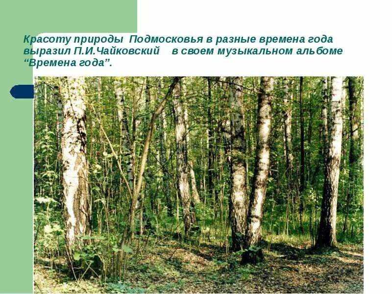 Проект по окружающему миру подмосковье Как сделать проект "Кто нас защищает МЧС" 3 класс окружающий мир