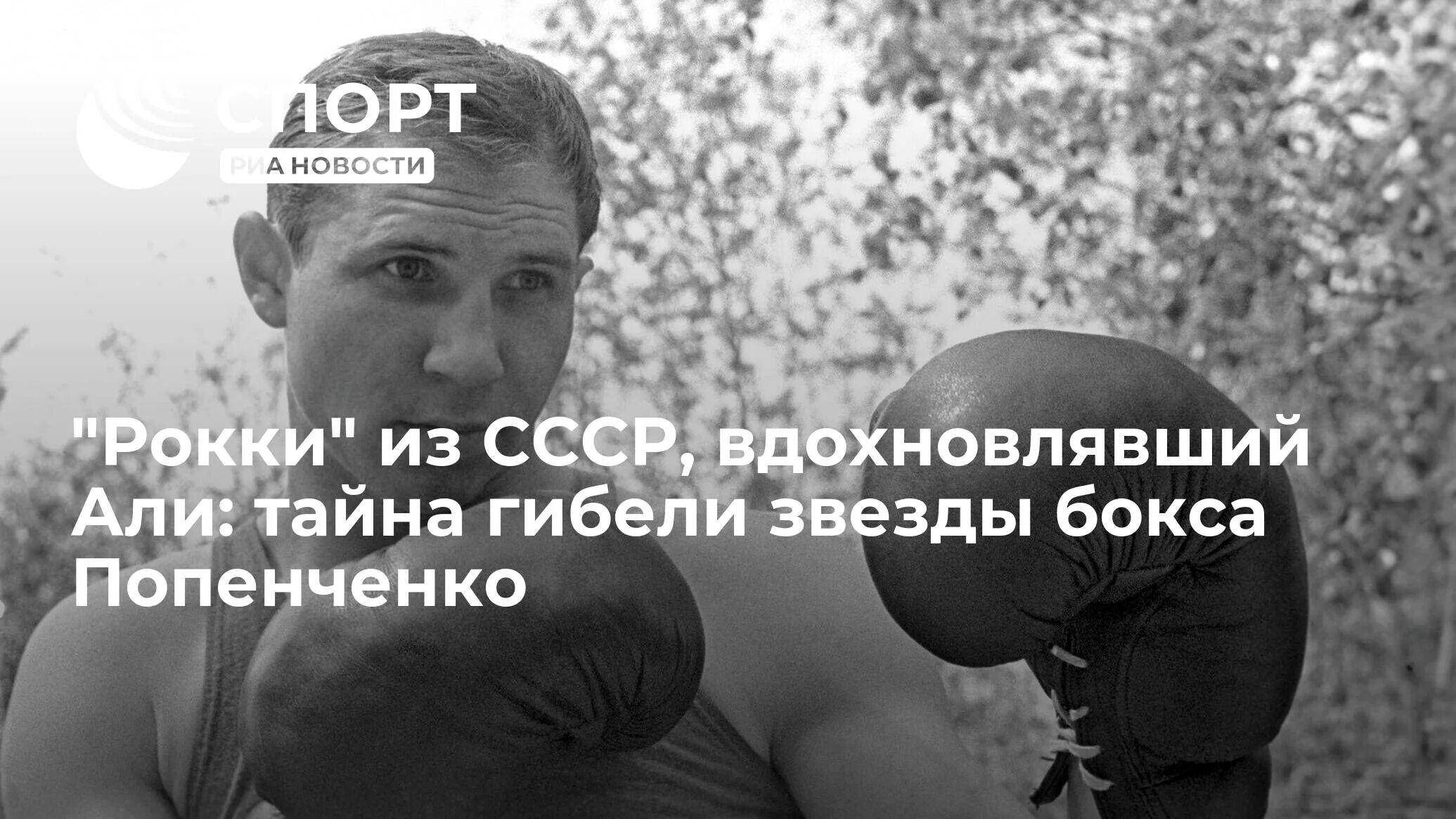 Валерий попенченко биография личная жизнь Штампы, калька, но пробирает до мурашек: о фильме "Мистер нокаут" Записки актёра