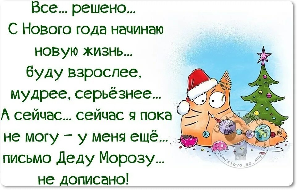 Цитаты великих о новом годе. Анекдоты про новый год. смешные цитаты про новый год. статусы про новый год. юмор о новом годе.