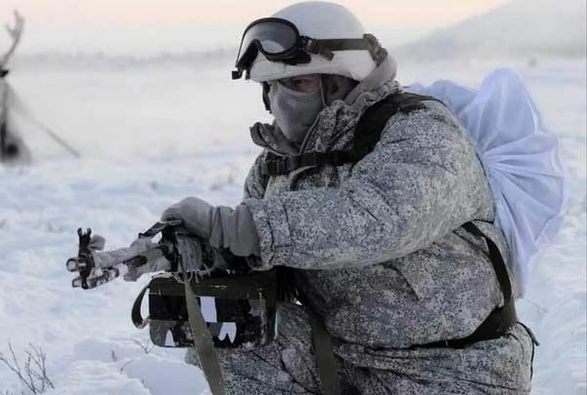 Военный северный. Арктическая экипировка армии США. 80 Мотострелковая Арктическая бригада. 80 Арктическая бригада в Ловозеро. Арктический спецназ Алакуртти.