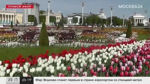 Вднх в москве закрытие