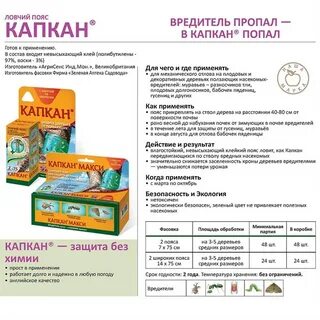 Тут ловчий перервал ответ
