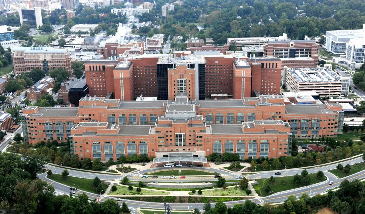 Go to institute