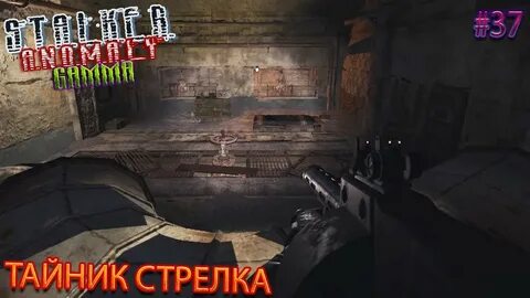 Сталкер тайник стрелка в баре