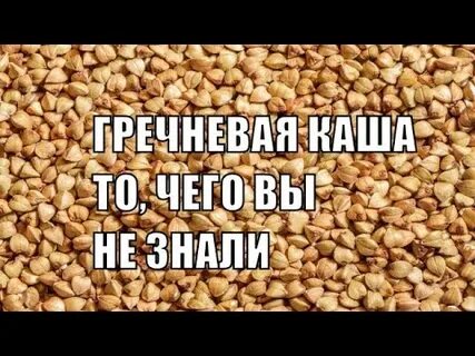 Чем вредна гречка для организма