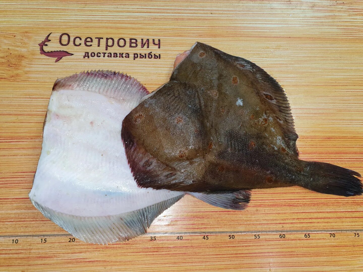 Доставка осетрович рыбы и морепродуктов в спб. Камбала. Рыба похожая на камбалу. Плоская рыба похожая на камбалу. Камбала без головы свежемороженая.