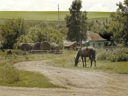 Ты села в него