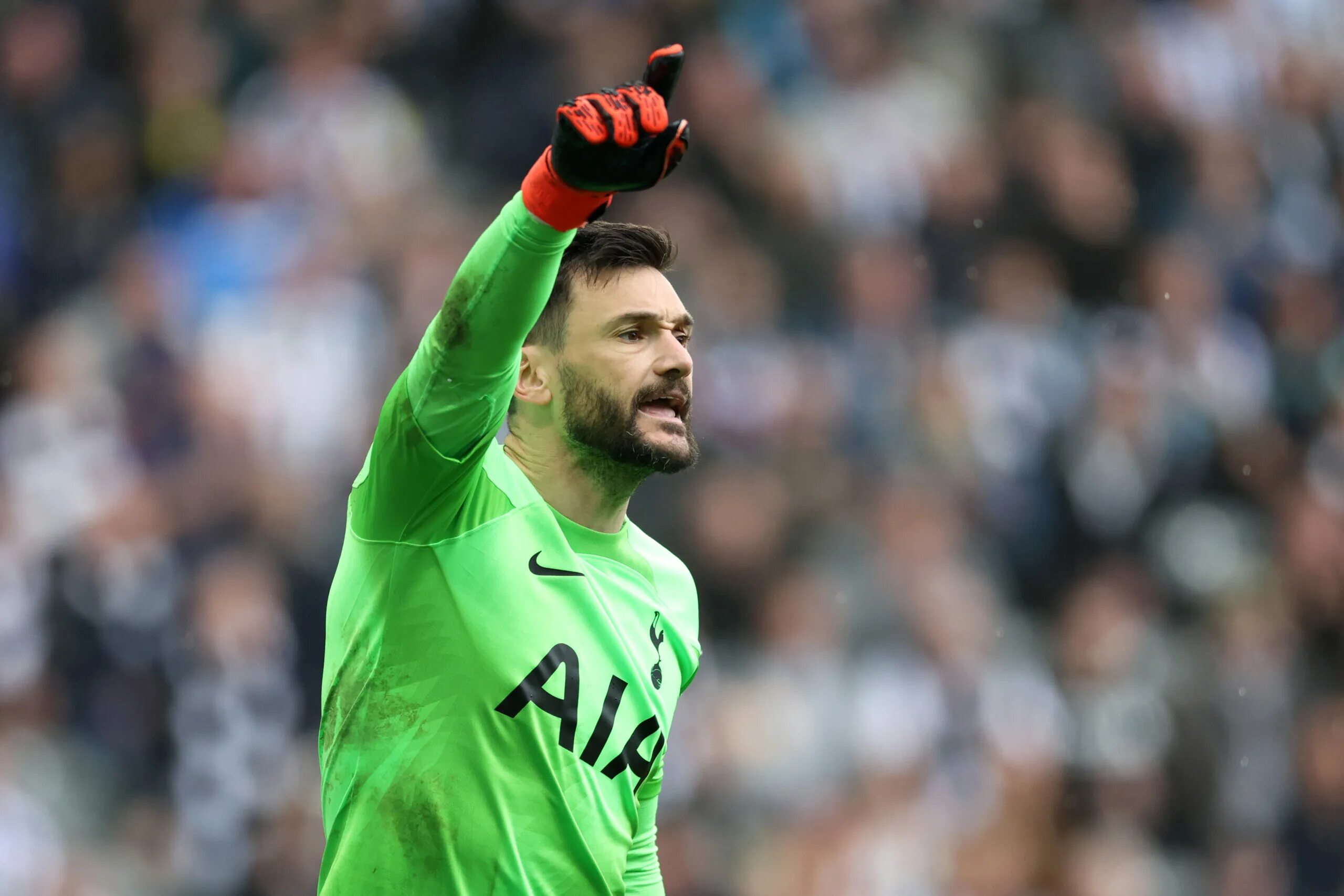 Lori s. Lloris. уго льорис. ллорис вратарь. льорис тоттенхэм.