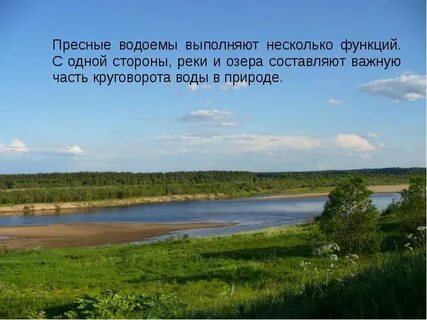 Охрана сообщества водоемов