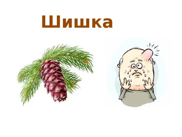 Омонимы шишка. Шишка многозначное слово. Шишка смешно. Ребус шишка