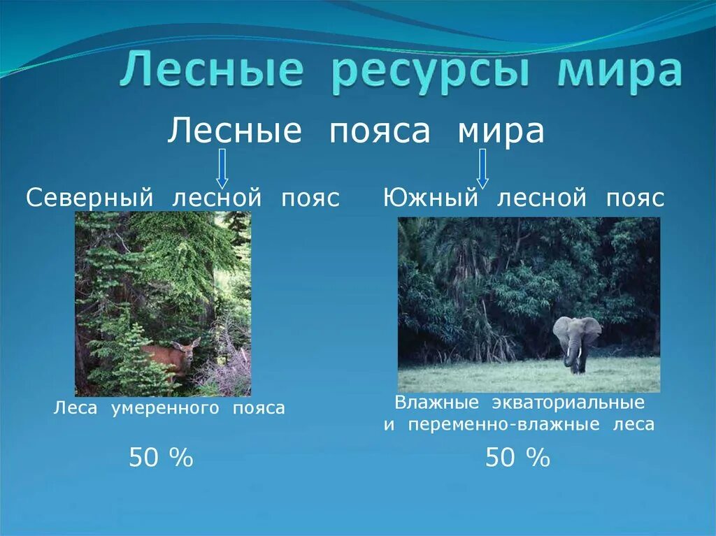 Северный лесной пояс страны лидеры. Северный лесной пояс страны лидеры. Лесная и деревообрабатывающая промышленность два пояса. Государства северного лесного пояса. Северный лесной пояс страны лидеры.