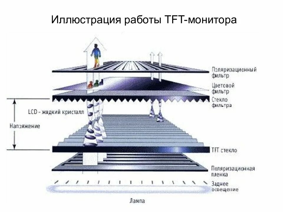 Принцип устройства монитора. Строение матрицы монитора. принцип работы жидкокристаллического монитора.