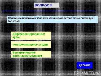 Основные признаки человека как представителя млекопитающих
