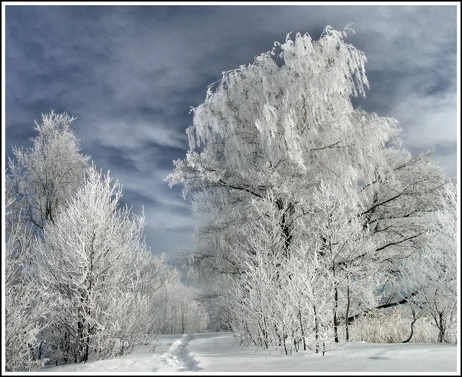Russia winters are cold. Природные явления зимой. Зимние явления зимой. Зимние явления природы для детей. Зимние явления в природе старшая группа.