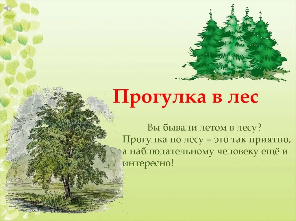 Рассказ летом в лесу. Сочинение про лес. Презентация на тему лес. Лето в лесу рассказ. Сочинение про лес.