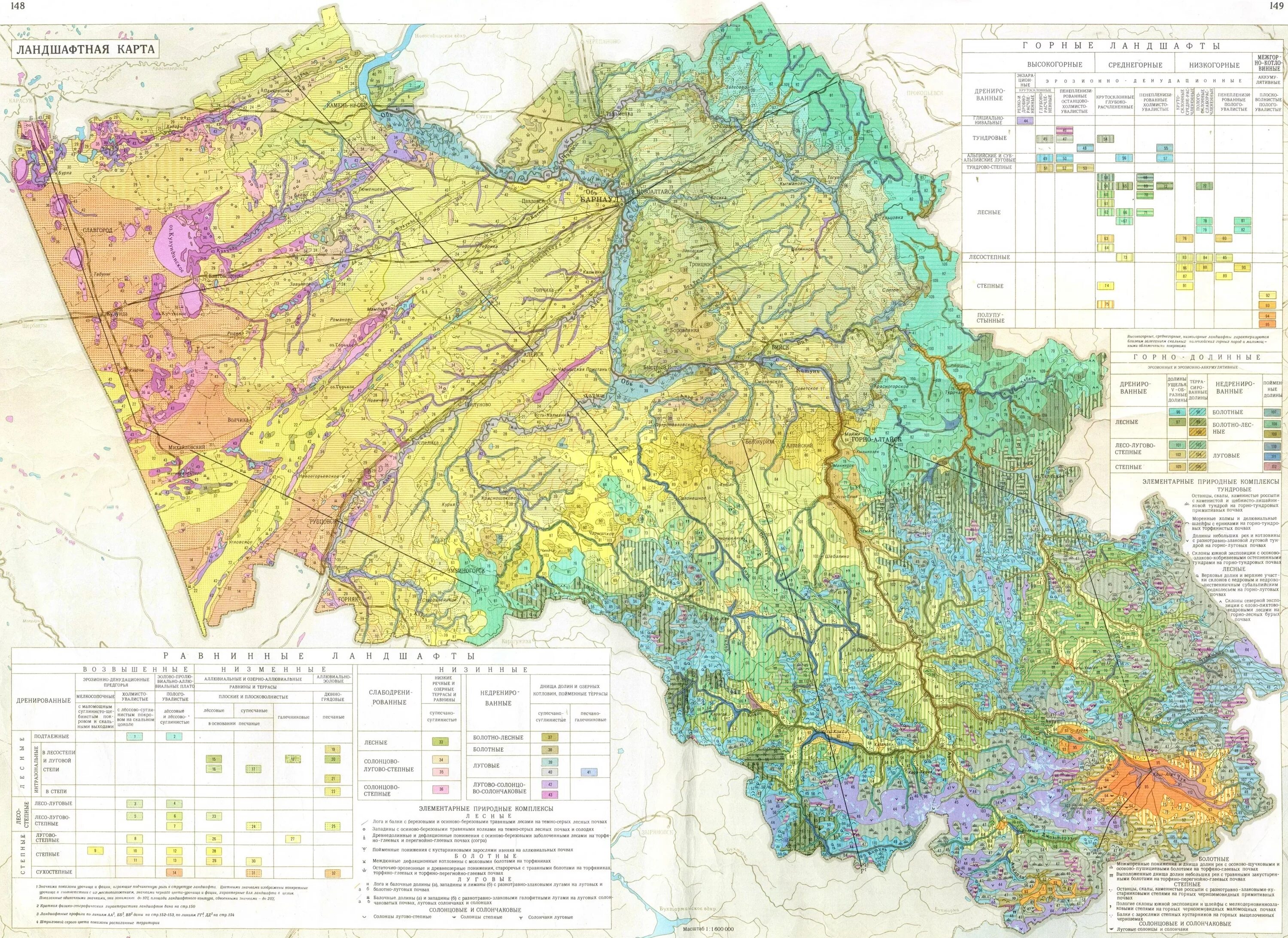 Ландшафтные карты. Ландшафтная карта Алтайского края. Карта почв Алтайского края подробная. Ландшафт Алтайского края карта. Ландшафтная карта Алтая