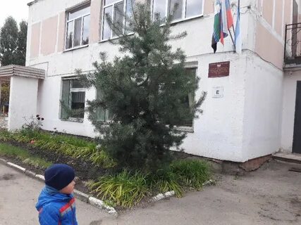 Детский сад 75 белгород