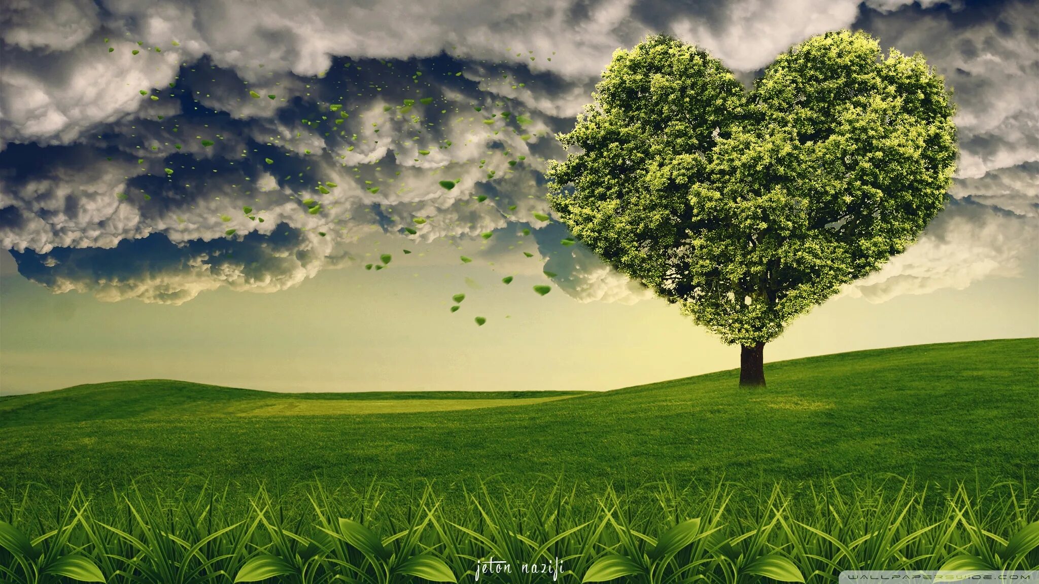 Lovely tree