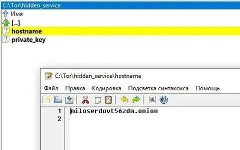 Hidden services