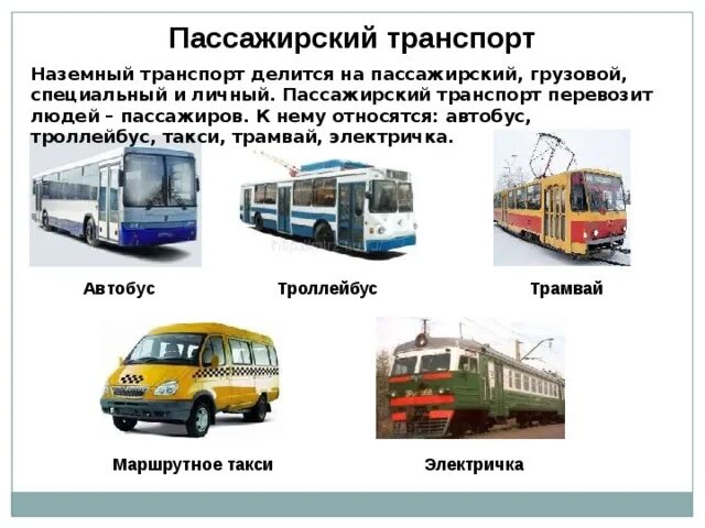 Маршрутного такси троллейбусов и автобусов. Пассажирский транспорт. Виды наземного транспорта. Виды общественного транспорта. Виды пассажирского транспорта.
