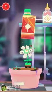 Toca plants