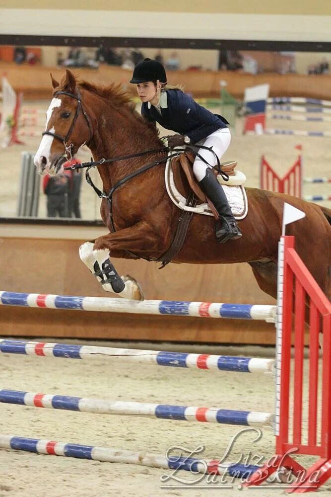 конно-спортивный комплекс. кск соревнования. троеборье кск дубрава. конноспортивный клуб. манеж соревнования конный спорт.
