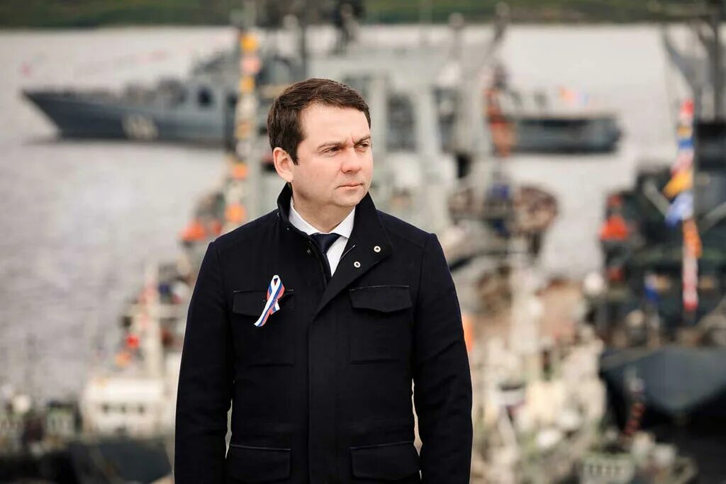 Чибис в мурманске. Чибис в мурманске