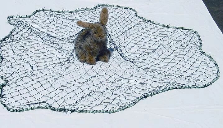 Netted off. Черепаха запуталась в сетях. Запутанная в сетке рыба. Черепаха запуталась в сетях океан. Рыболовные сети в океане.