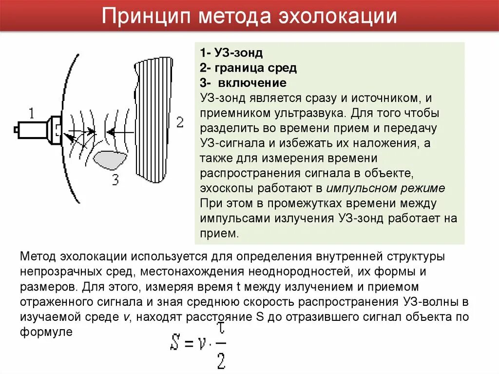 Зонд принцип. Принцип эхолокации. Ультразвук, принцип метода.