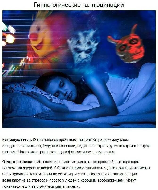 Вещи сон как увидеть
