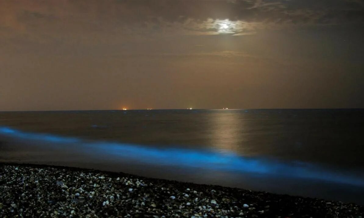 Когда фосфорится море в крыму. Свечение моря. море светится. азовское море светится ночью. море фосфорится ночью.