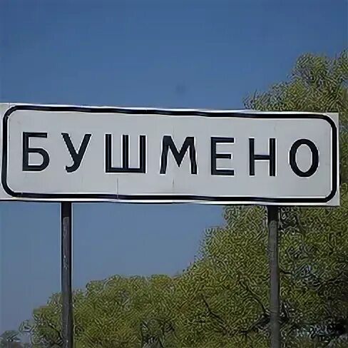 Погода бушмено. Разрушенный деревянный дом. Село каменка курская область. Погода бушмено. Село бушмено.
