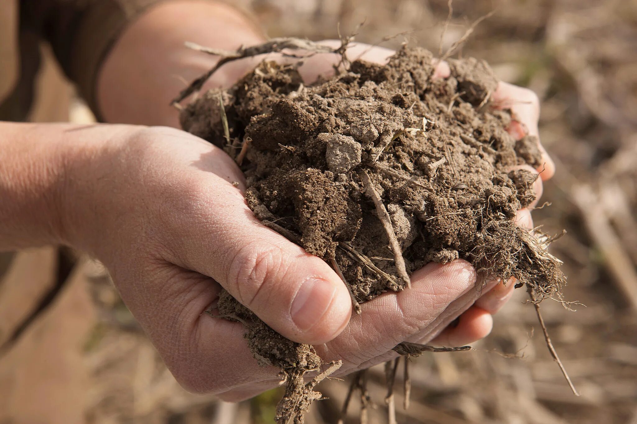 Среднетяжелые почвы. Агрофон почвы. Ореховая почва. Грунт в руках.