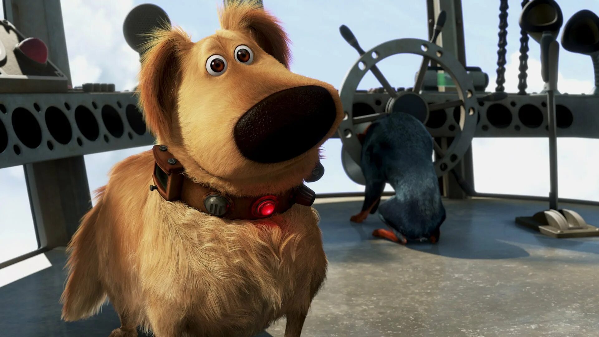 вверх собака