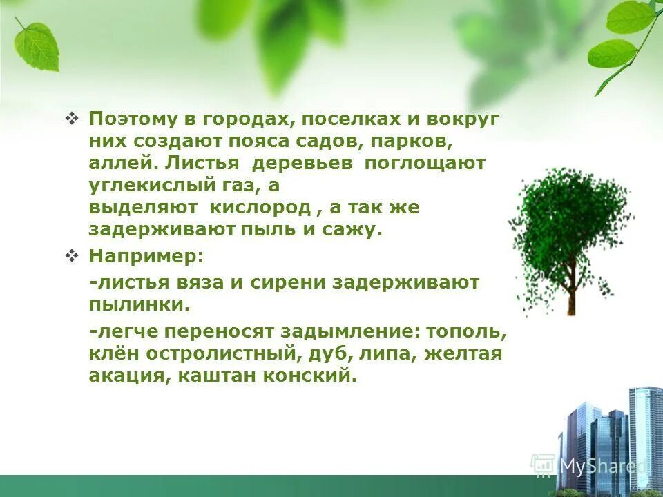 биология воздушное питание растений фотосинтез. для чего нужны деревья. процесс дыхания растений. процесс дыхания растений. сколько кислорода выделяет дерево.