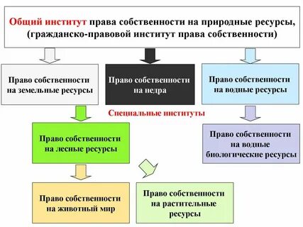 Право на недра и природные ресурсы