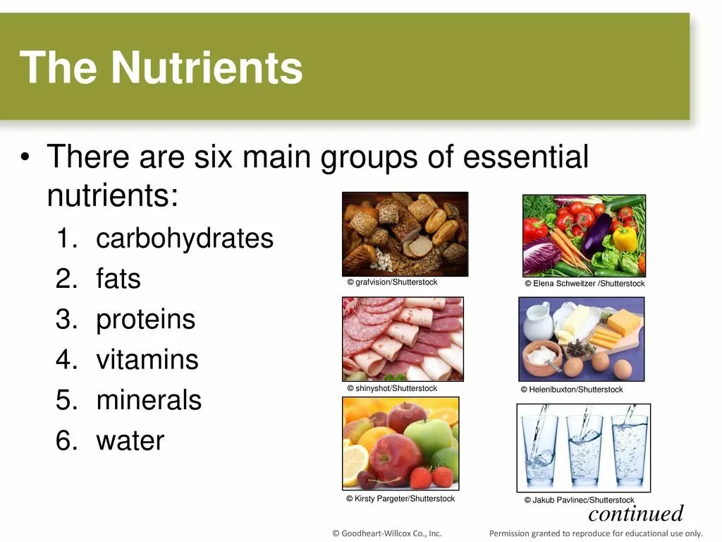 Protein minerals vitamins. Essential nutrients. Nutrient питание. Nutrients Journal. Proteins fats carbohydrates Vitamins.