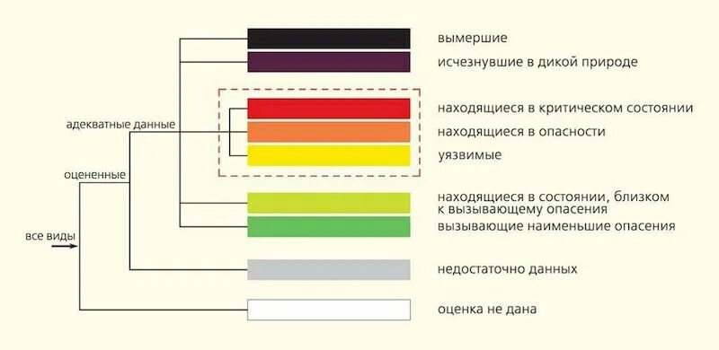 Красная книга цвета страниц и обозначение. Структура красной книги. категории в красной книге цвета страниц. цвета страниц красной книги и их значение.