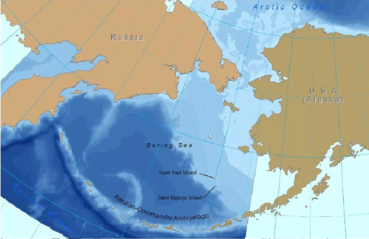 Береговая линия берингово. Берингов пролив и Берингово море. Берингово море на карте. Карта Берингово море Аляска. Берингово море море на карте России.
