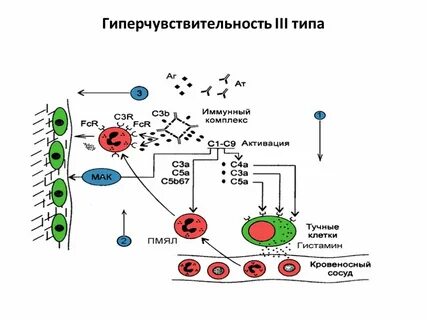 Гзт аллергическая реакция