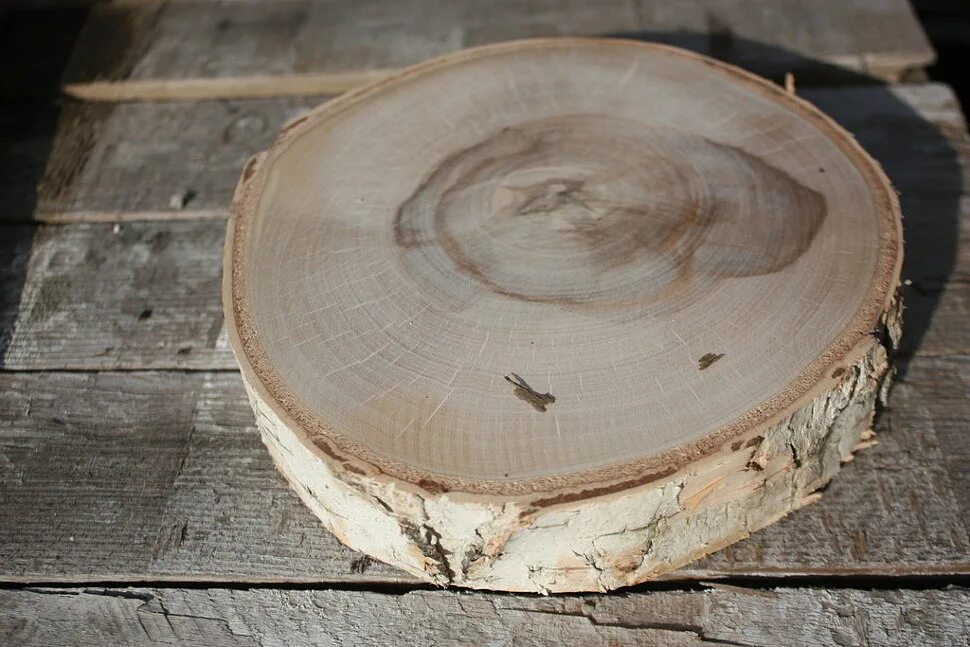 спил карельской березы. раскрой березы. спил сосна кело. березовые лаги. категории бруса березы.