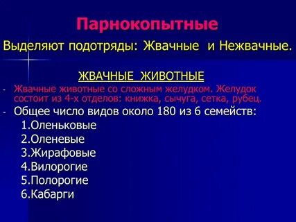 Объединены в подотряды нежвачные и жвачные