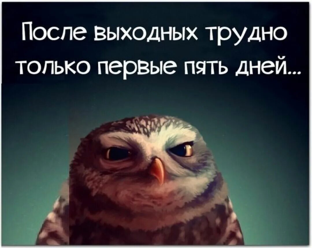 Открывая утром глазки. Смешные высказывания про ночь. Цитаты про утро прикольные. Прикольные фразы про ночь. Прикольные высказывания на ночь.