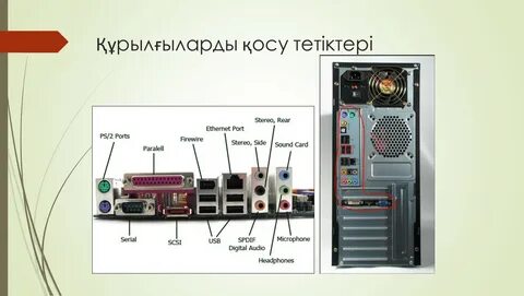 Әйелдердің жалаңаш жамбастарының суреттері