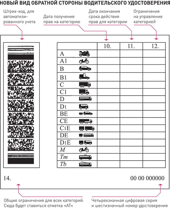 Расшифровка прав россии. Обозначение категории водительских прав а1. Категория м, а1,в1,с1.