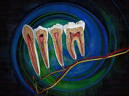 Dental art gallery by doctor mussurov