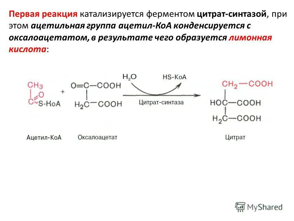 Глюкоза ацетил коа