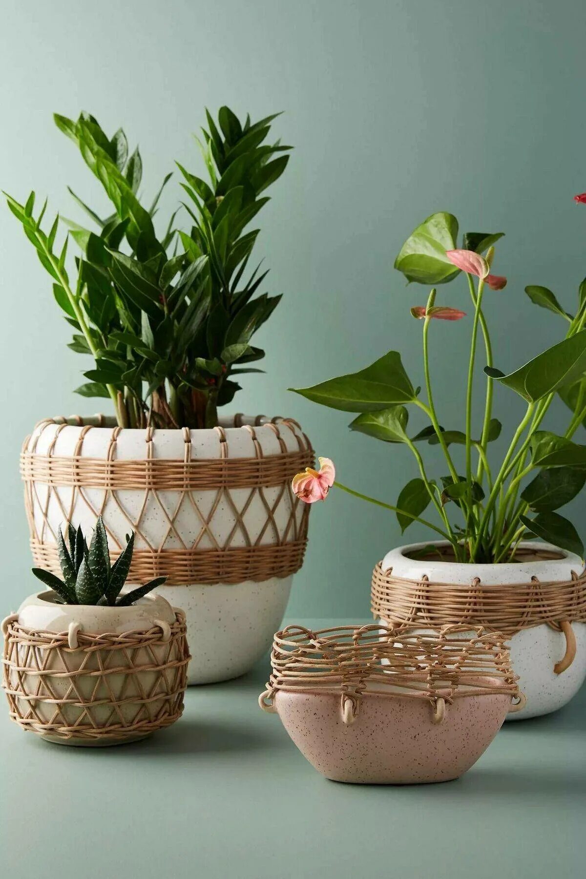 Горшок для цветов своими руками. Декор кашпо для цветов. Декор цветочных горшков. Декорируем горшок для цветов. Дизайнерские цветочные горшки.