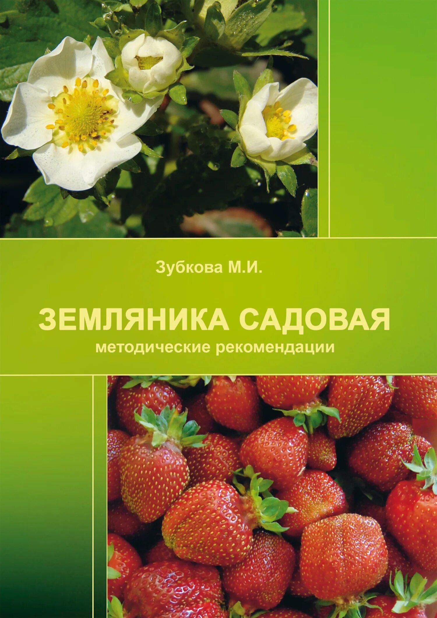 Земляника книга. Копылов клубника книга. Листы сада м книги. Найди комбинацию грибок клубника книга.